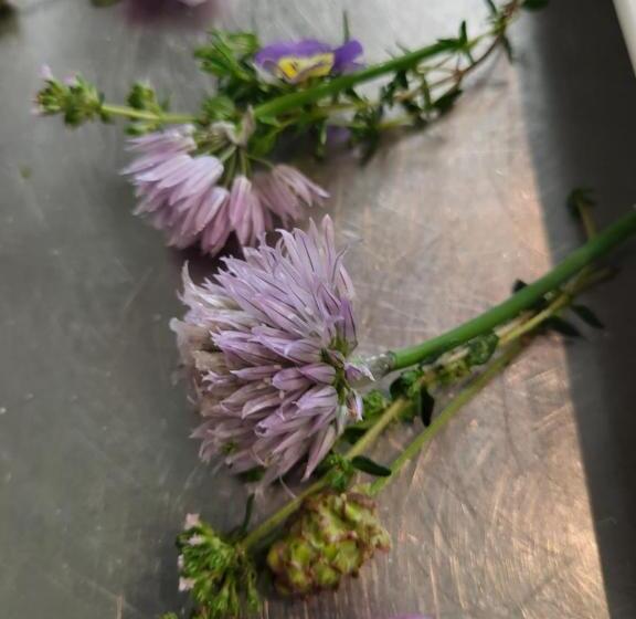 펜션 Gasthof Zur Schmiede