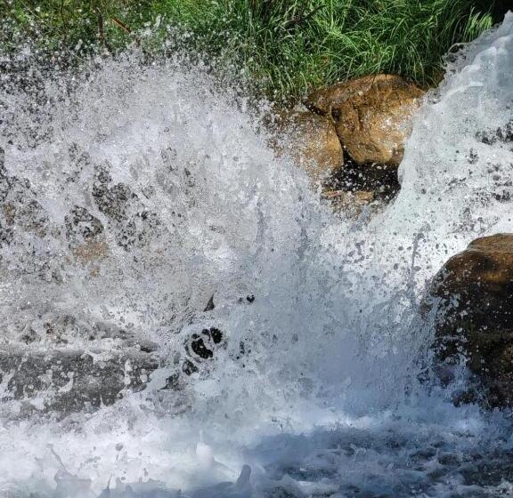 펜션 Gasthof Zur Schmiede