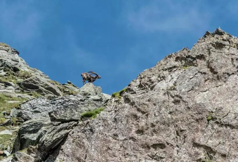 Majatalo Landhaus Alpenrose   Feriendomizile Pichler