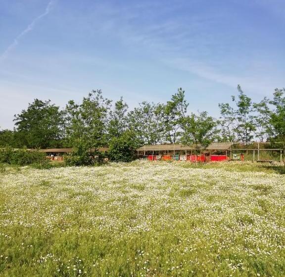 ペンション Lazy Days