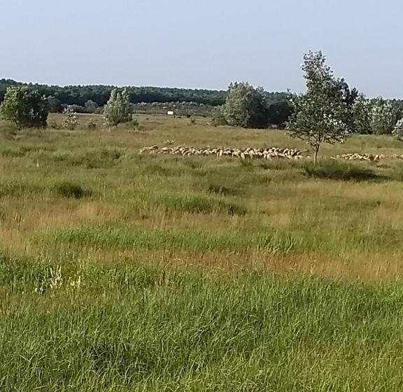 ペンション Lazy Days