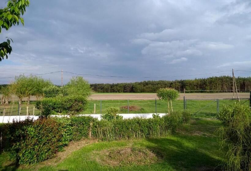 ペンション Lazy Days