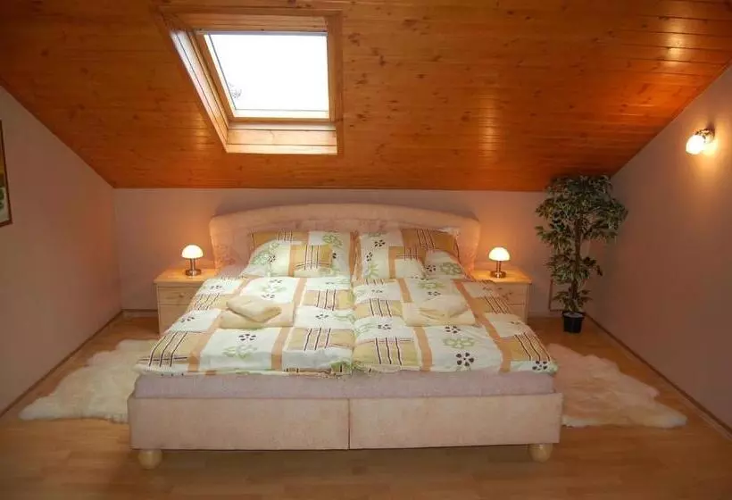 ペンション Penzion A Restaurace U Mámy