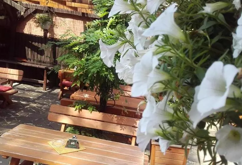 ペンション Penzion A Restaurace U Mámy