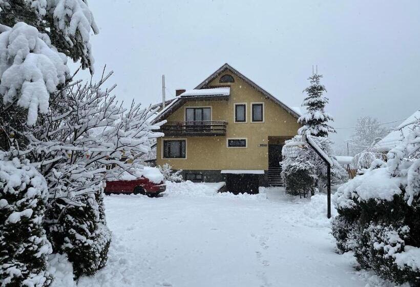 פנסיון Prutets Guest House