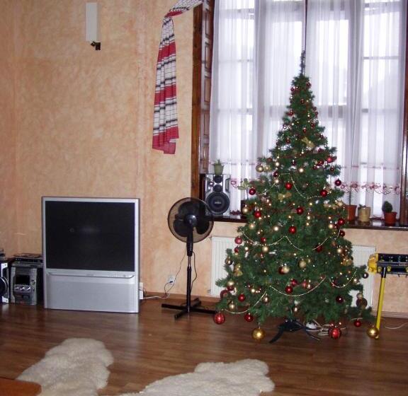 פנסיון Prutets Guest House