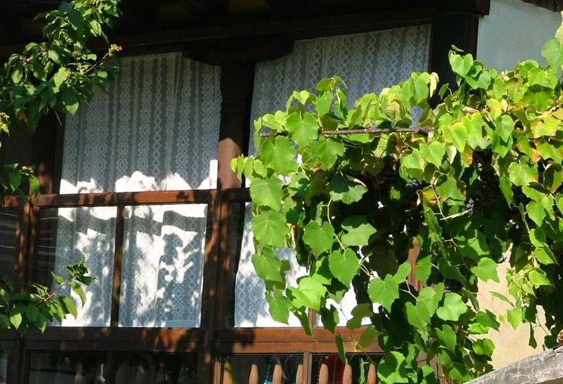 펜션 The Tinkov House In Lovech