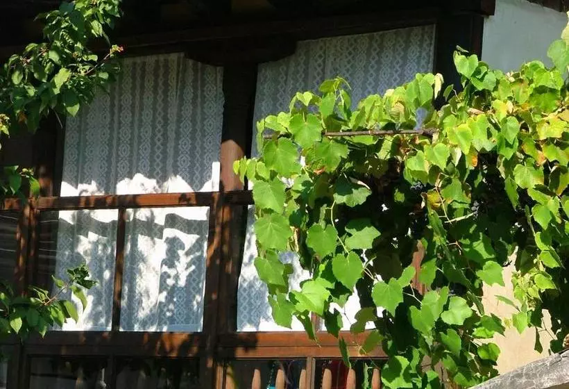 Majatalo The Tinkov House In Lovech