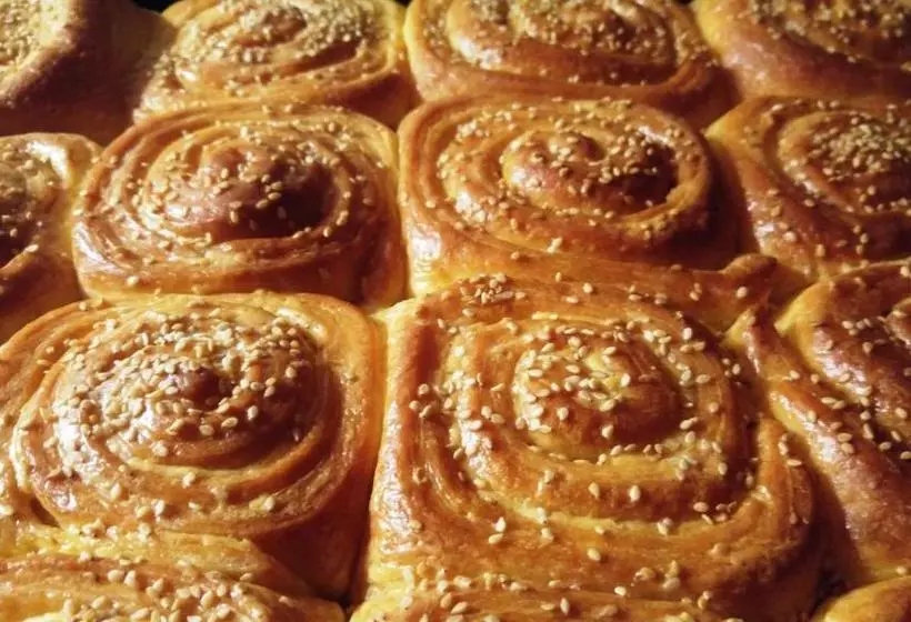 Majatalo The Tinkov House In Lovech