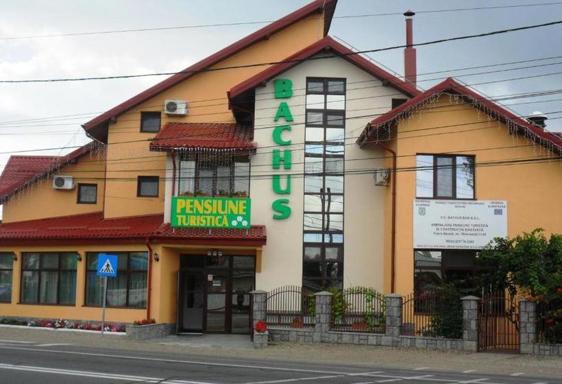 Pensiunea Bachus