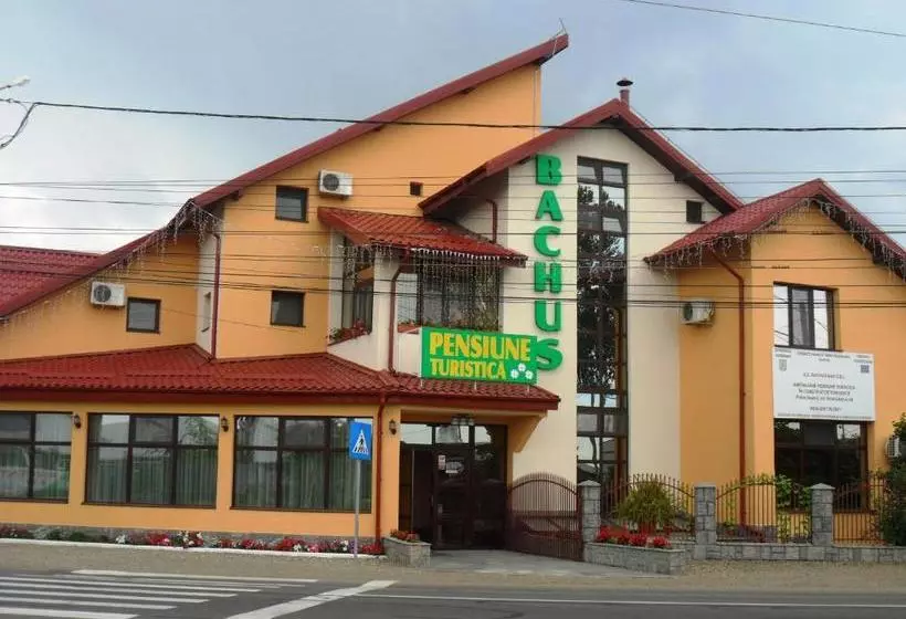 Pensiunea Bachus