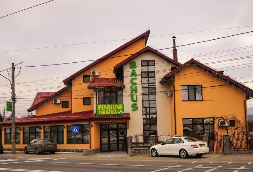Pensiunea Bachus