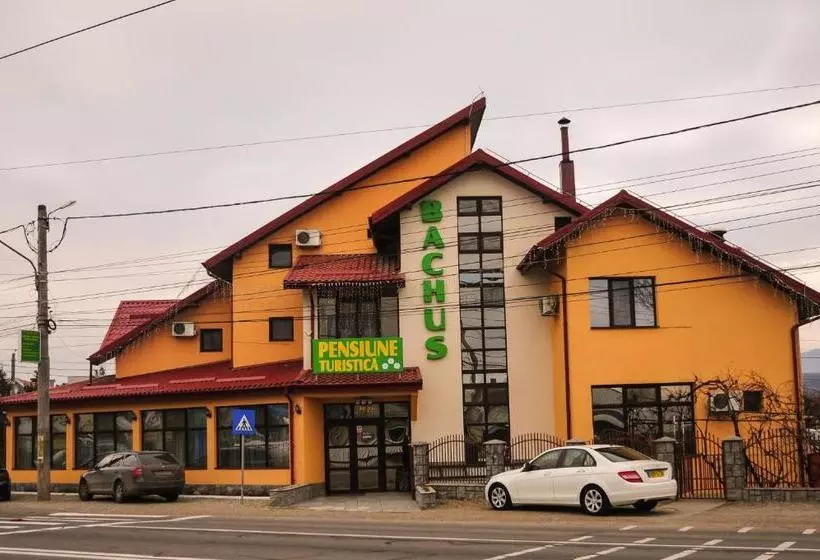 Pensiunea Bachus