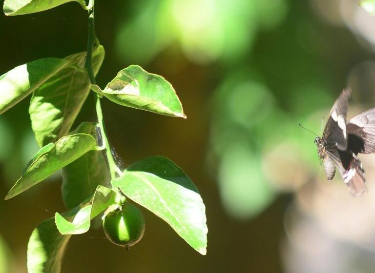 فندق صغير Pousada A Marca Do Faraó