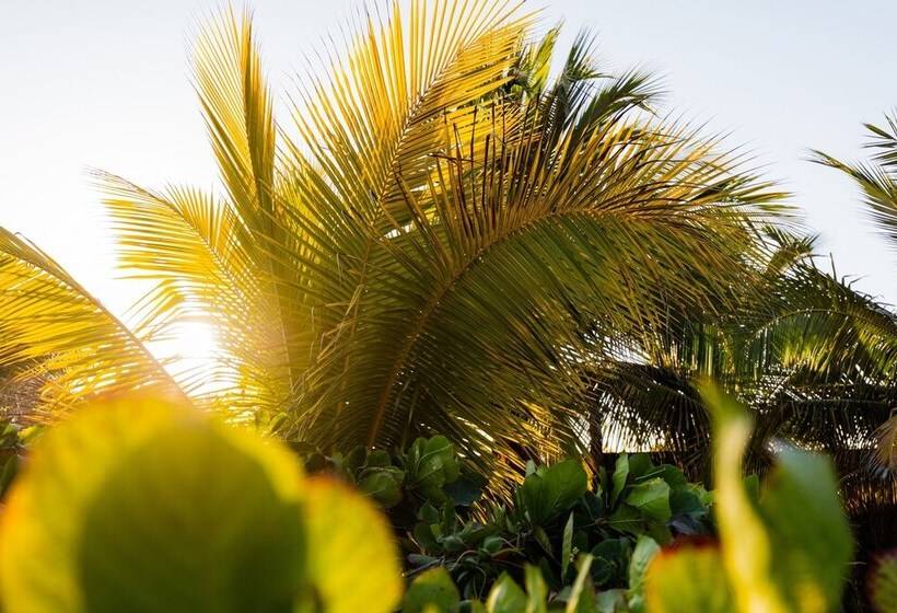 فندق صغير Punta Pacifico Bungalows Mancora