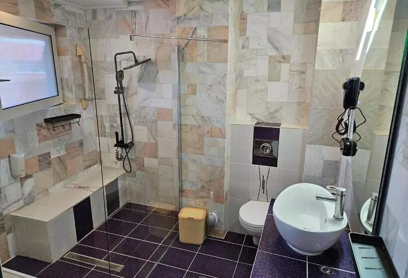 Pensiune Amethyst House