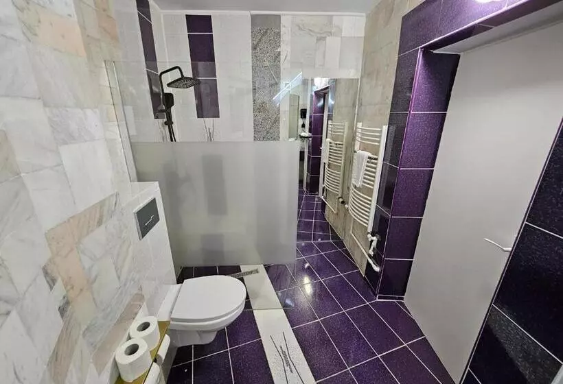 Pensiune Amethyst House