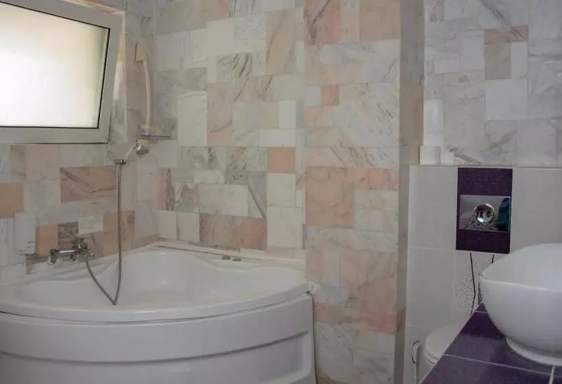 Pensiune Amethyst House