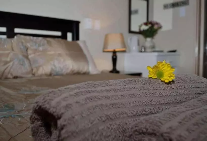 Majatalo Cycas Guest House