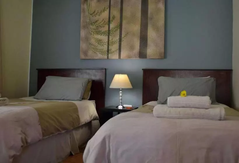 Majatalo Cycas Guest House