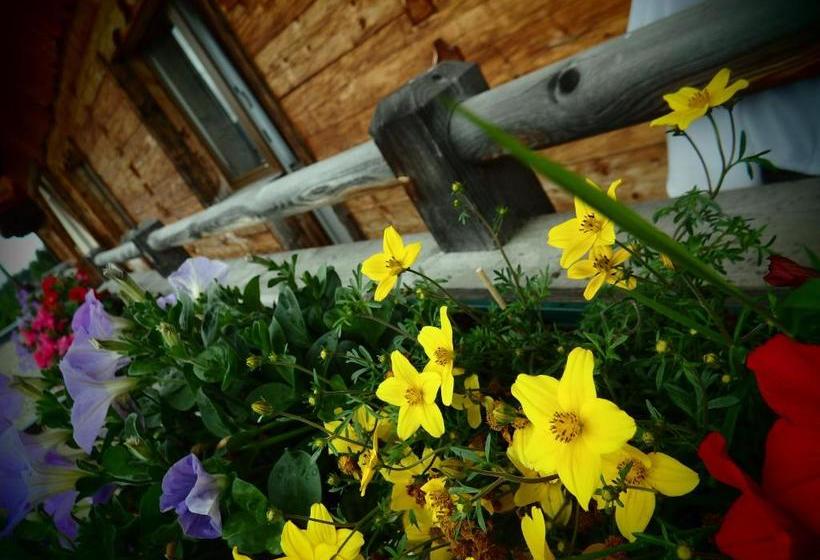 پانسیون Gasthof Jandlalm