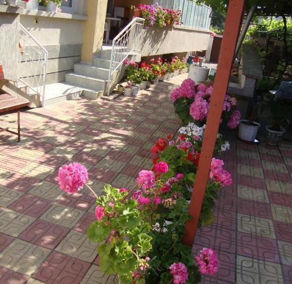 פנסיון Guest House Perla