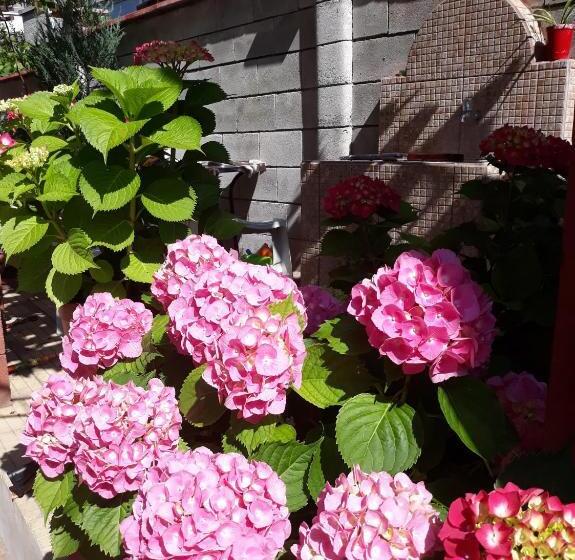 פנסיון Guest House Perla