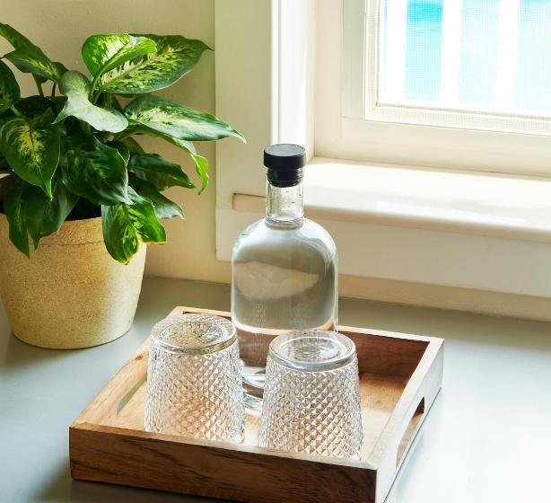 בית מלון כפרי Greenporter