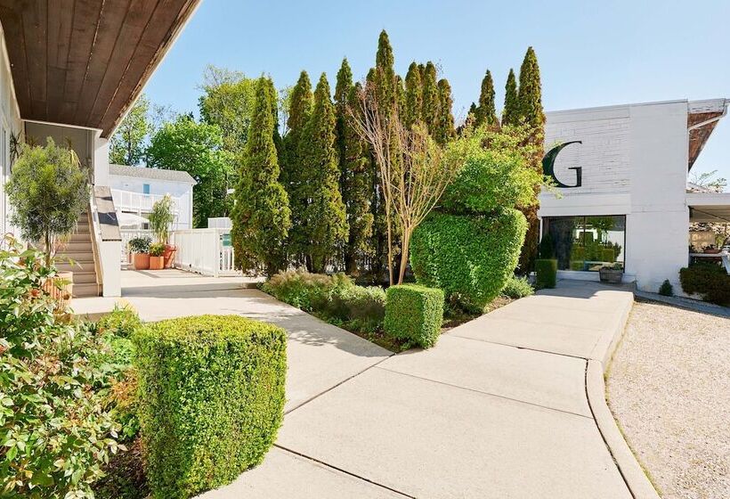 בית מלון כפרי Greenporter