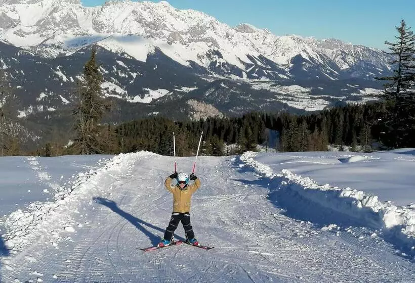 ペンション Forstauerwirt Hotel & Restaurant