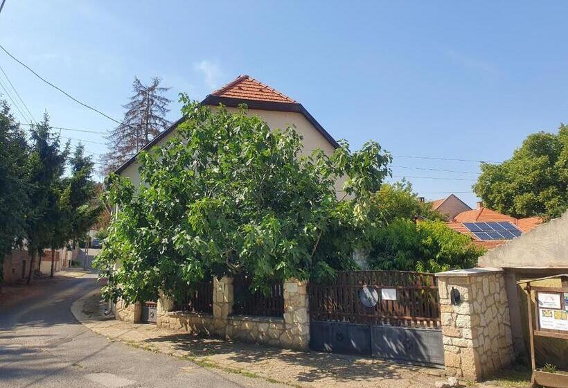 Пансион Paulay Borház és Vendégház