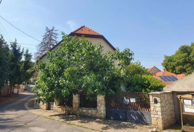 Majatalo Paulay Borház és Vendégház