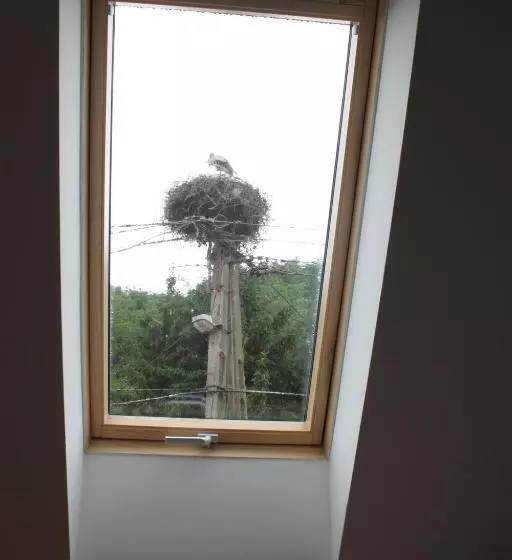 Majatalo Paulay Borház és Vendégház