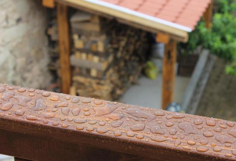 Пансион Paulay Borház és Vendégház