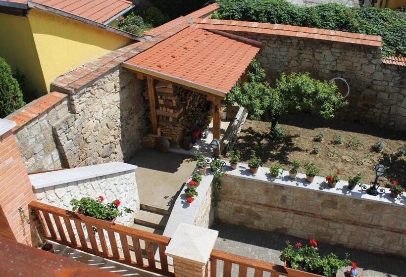 Пансион Paulay Borház és Vendégház