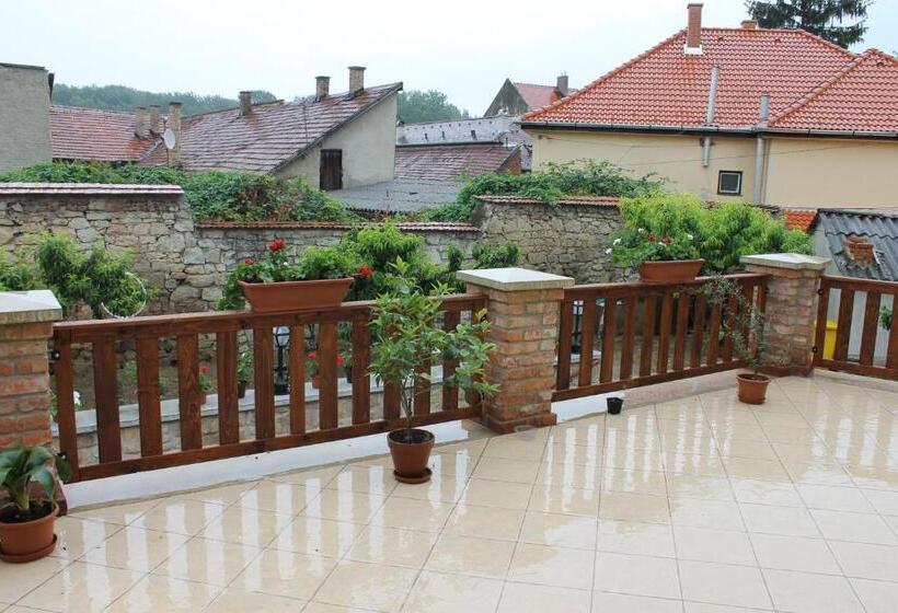 Пансион Paulay Borház és Vendégház