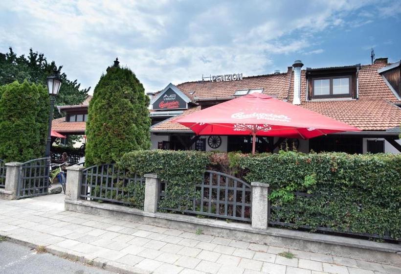 펜션 Penzion U Trávníčka