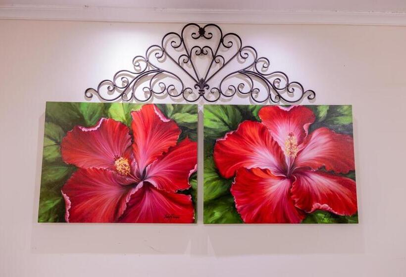 پانسیون Pousada Ma Juli