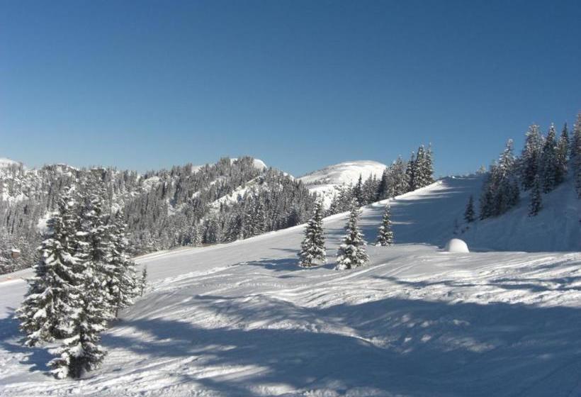 פנסיון Zimmer & Appartements Schwarzenbacher Sonja & Konrad