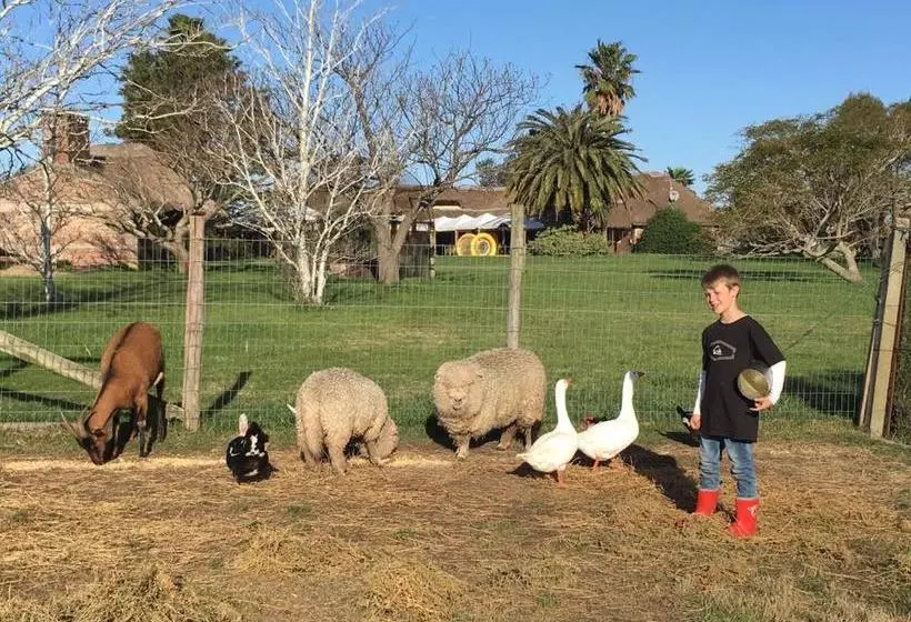 Pueblo Chico Agroturismo