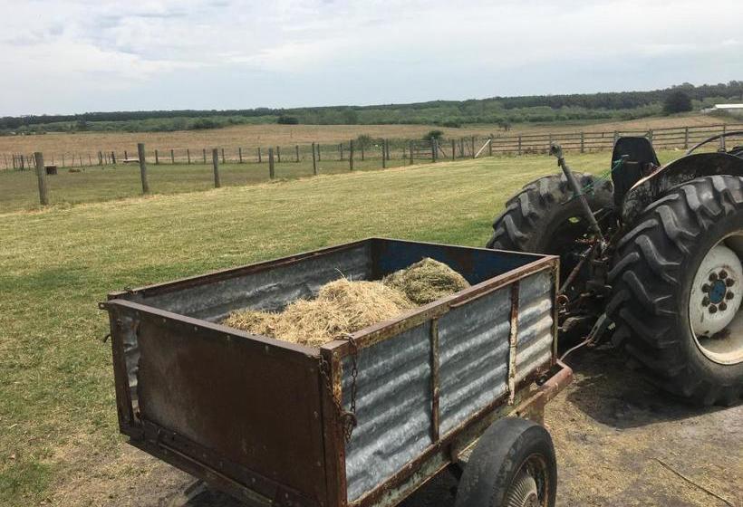 Pueblo Chico Agroturismo