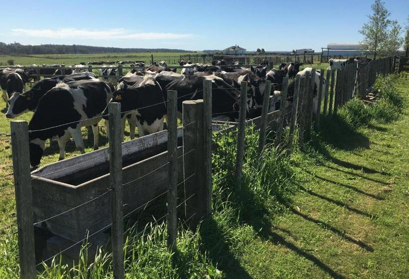 Pueblo Chico Agroturismo