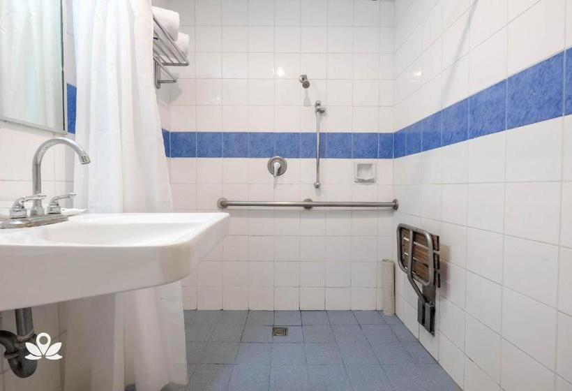 Aloha  Roxas Boulevard Manila