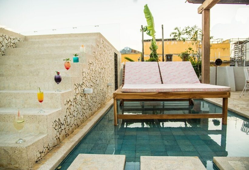 هتل Soy Local Insignia