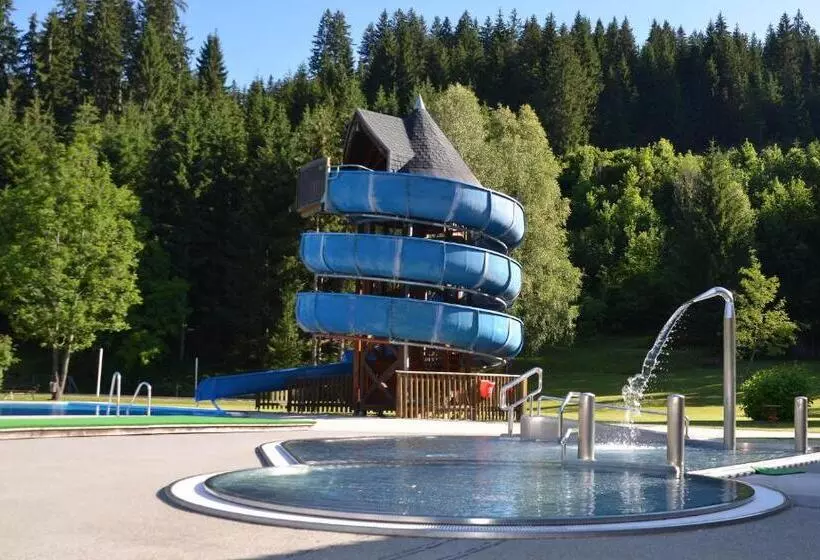 Pension & Apartments Weissbriach