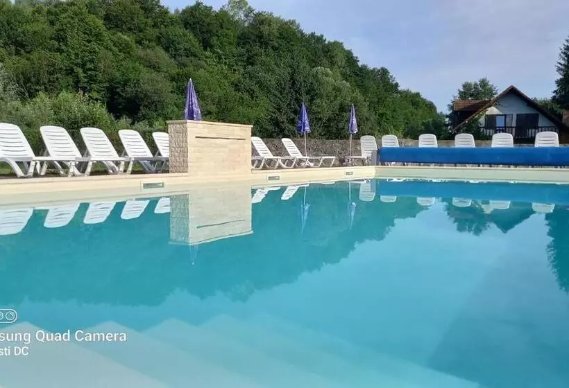 リゾートホテル Domeniul Roa