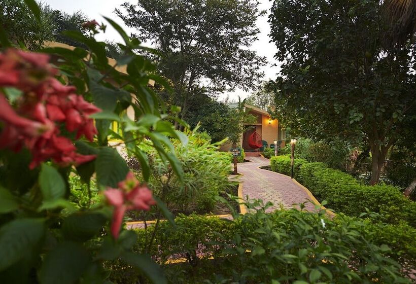Acorn Hideaway Resort & Spa, Corbett