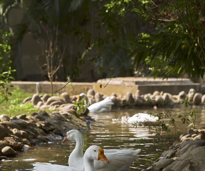 Acorn Hideaway Resort & Spa, Corbett