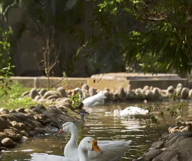 Acorn Hideaway Resort & Spa, Corbett