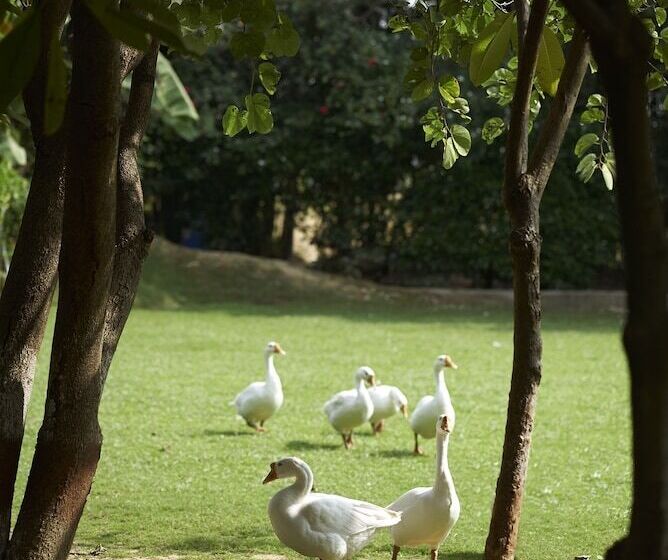 Acorn Hideaway Resort & Spa, Corbett